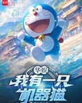 ���飺����һֻ����è