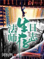 ��ʦ������־