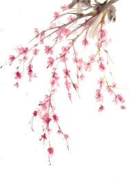 ����֮������ү������