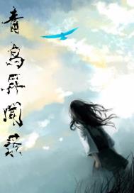 ��������¼