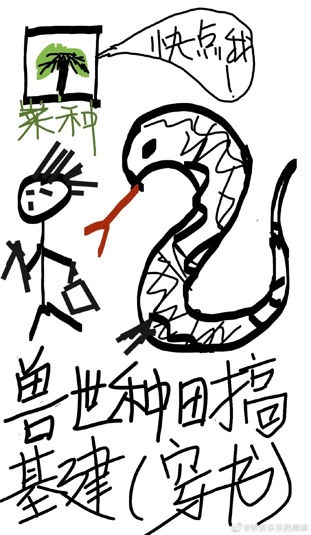 �����������������飩