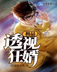 ��Ʒ͸�ӿ���