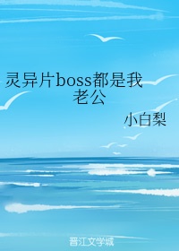 ����Ƭboss�������Ϲ�