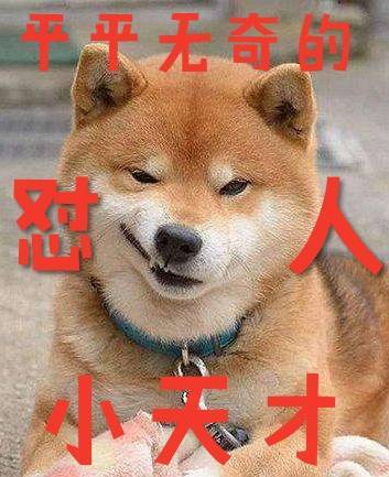 ����Ů�䴩�������̲�